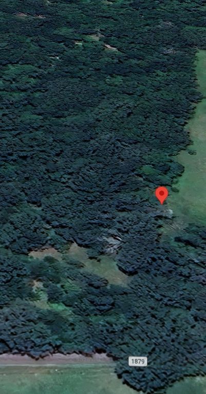 0 County Road 1879, Yantis, TX 75497
