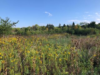 8 Alexandra Drive, Mettawa, IL 60048