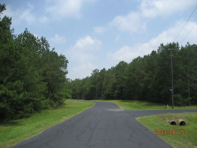 30079 Round Up Drive, Waller, TX 77484