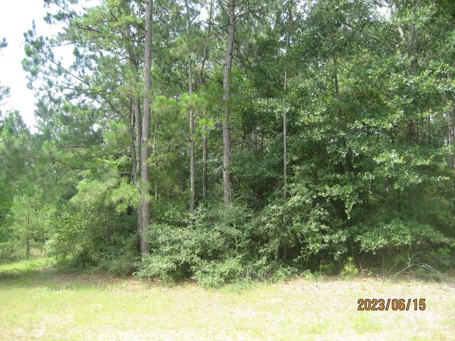 30079 Round Up Drive, Waller, TX 77484