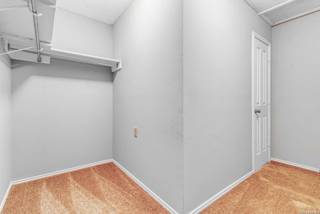 10123 SILVER BR, San Antonio, TX 78254