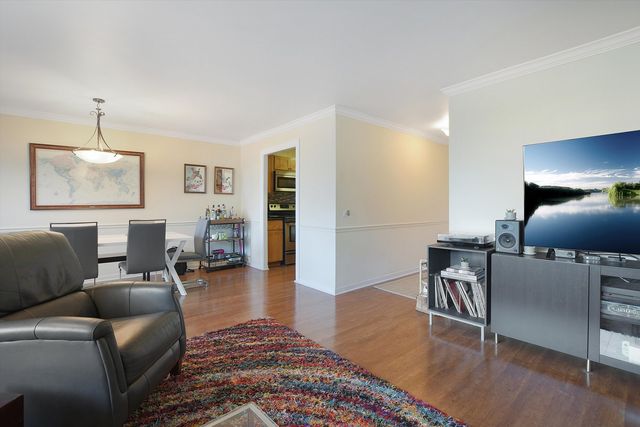 1555 N Sandburg Terrace 201, Chicago, IL 60610