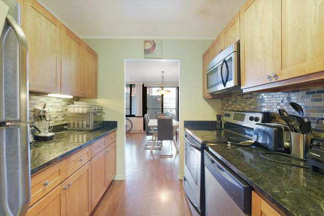 1555 N Sandburg Terrace 201, Chicago, IL 60610
