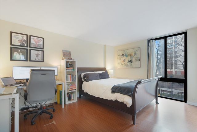 1555 N Sandburg Terrace 201, Chicago, IL 60610