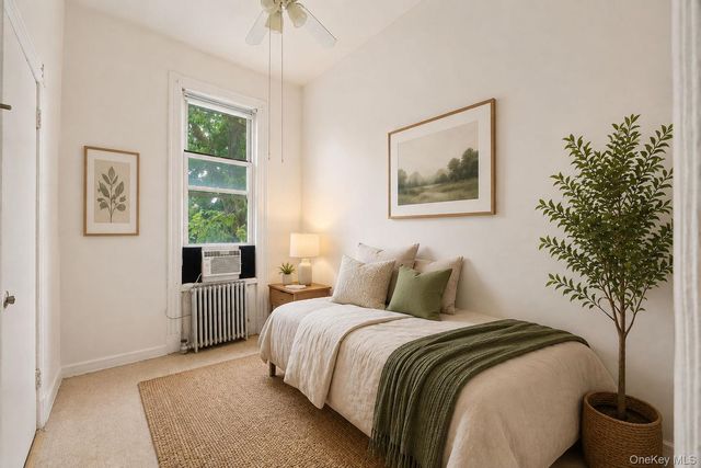 243 Woodbine Street, Brooklyn, NY 11221
