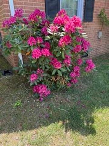 1344 S Main ST, Rocky Mount, VA 24151