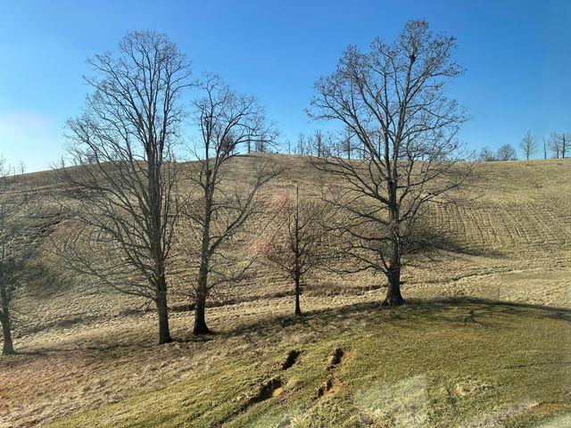 165 Pittsburg Landing, London, KY 40741