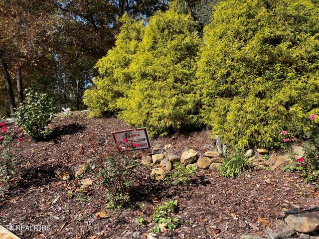 102 E Morningside Drive, Oak Ridge, TN 37830