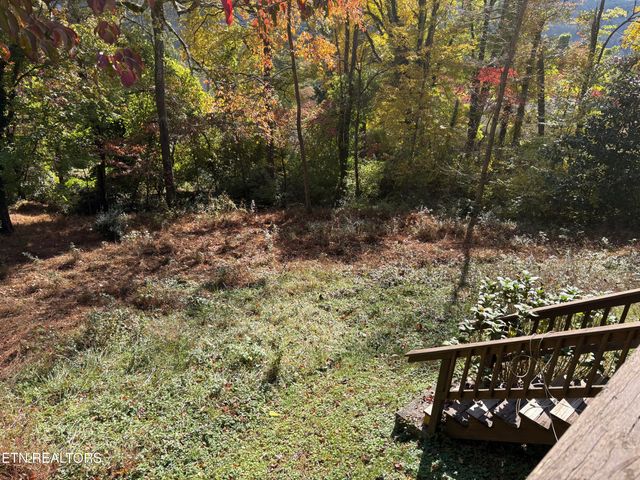 102 E Morningside Drive, Oak Ridge, TN 37830