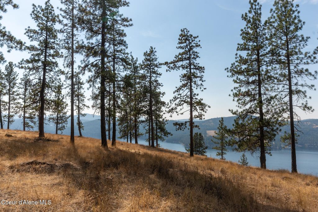 NKA 42-Ac Incline Dr, Harrison, ID 83833 photo 17