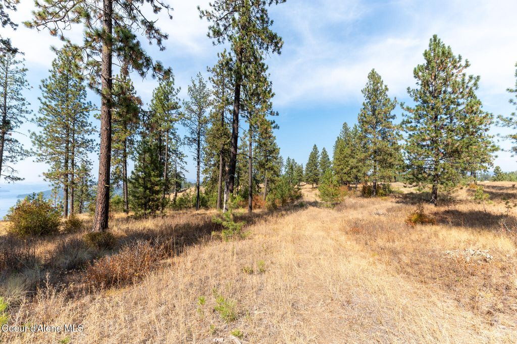 NKA 42-Ac Incline Dr, Harrison, ID 83833 photo 18