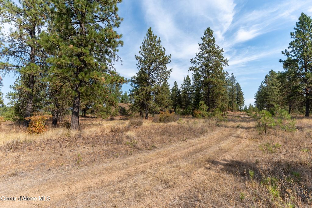 NKA 42-Ac Incline Dr, Harrison, ID 83833 photo 22