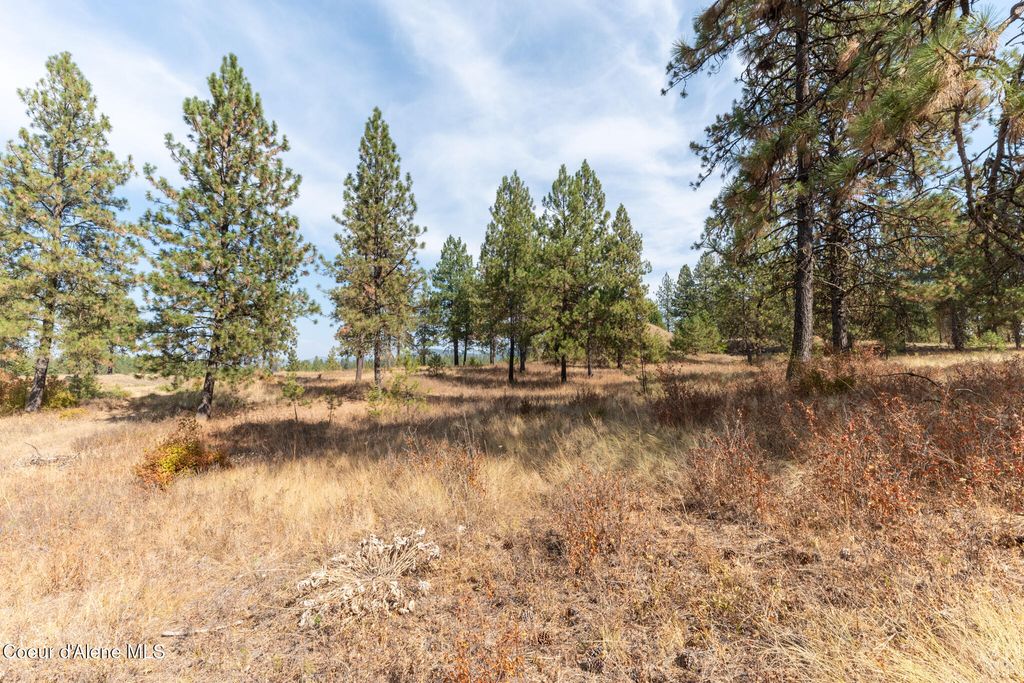 NKA 42-Ac Incline Dr, Harrison, ID 83833 photo 25