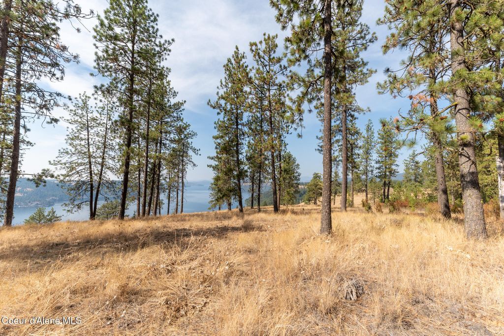 NKA 42-Ac Incline Dr, Harrison, ID 83833 photo 28