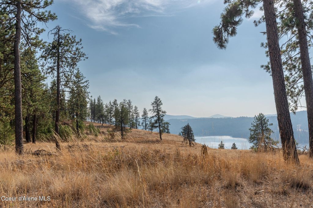 NKA 42-Ac Incline Dr, Harrison, ID 83833 photo 29