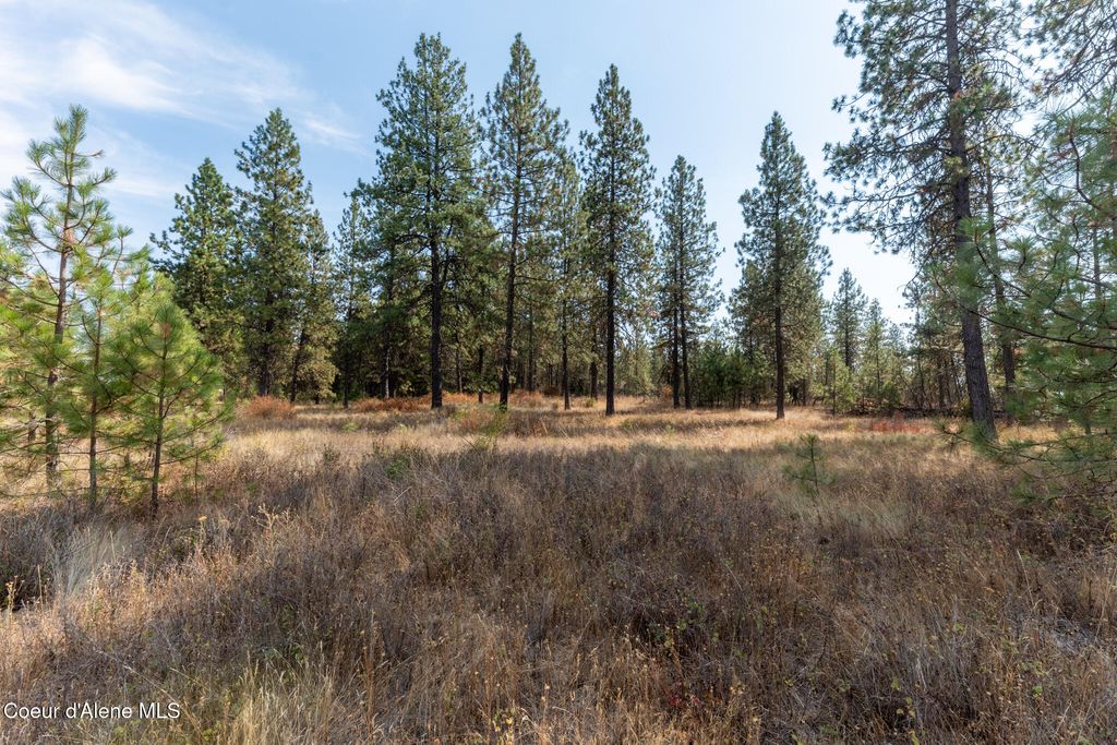 NKA 42-Ac Incline Dr, Harrison, ID 83833 photo 31