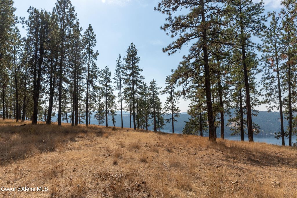 NKA 42-Ac Incline Dr, Harrison, ID 83833 photo 33