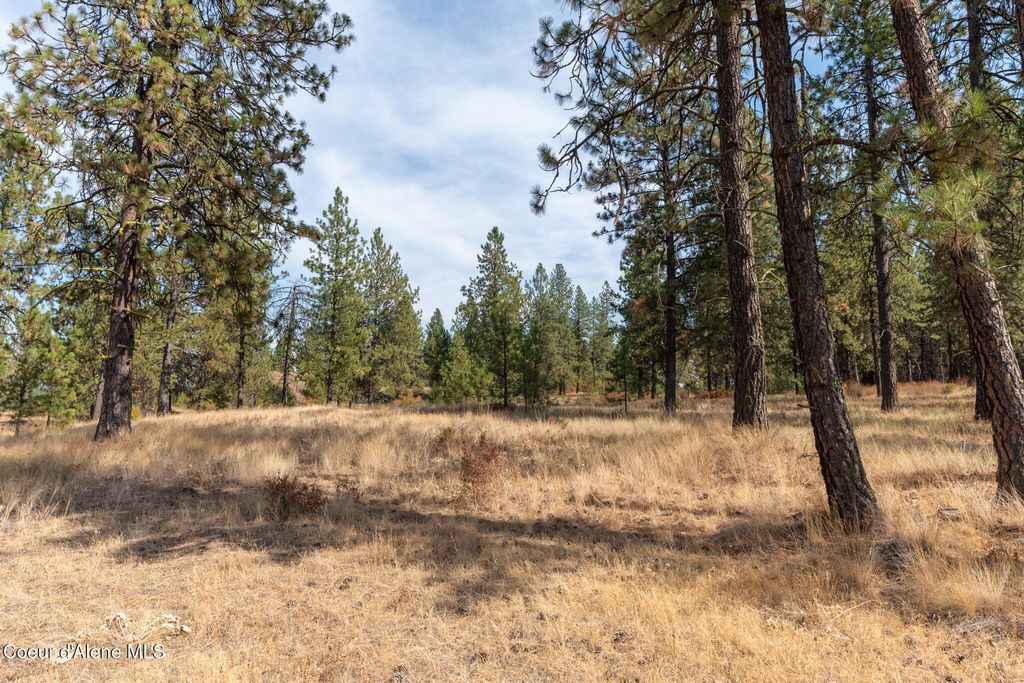 NKA 42-Ac Incline Dr, Harrison, ID 83833 photo 35