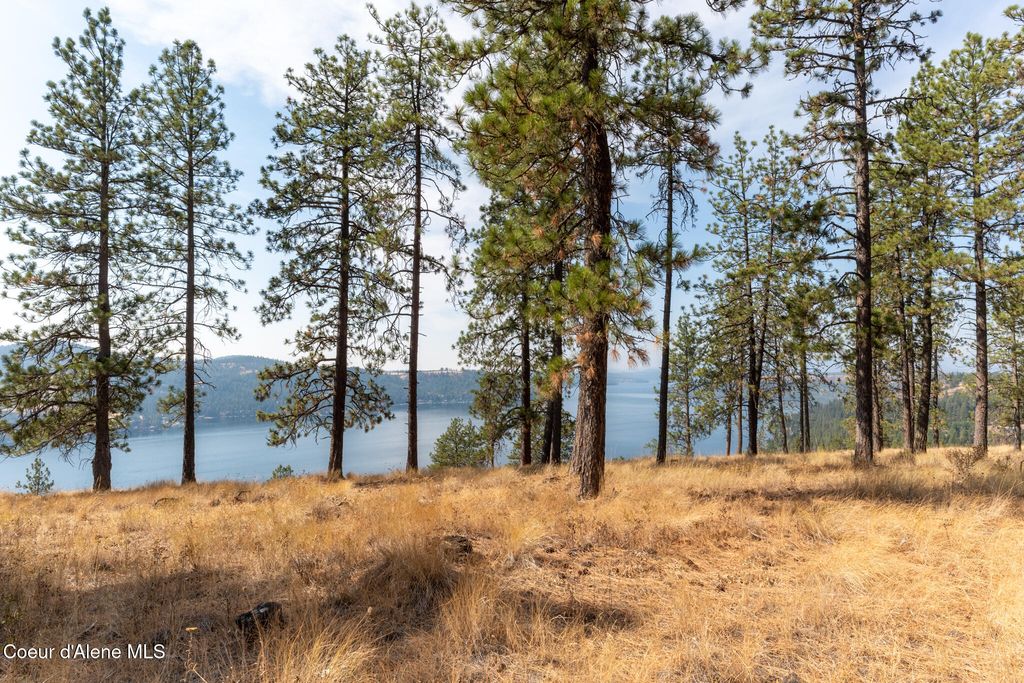 NKA 42-Ac Incline Dr, Harrison, ID 83833 photo 8