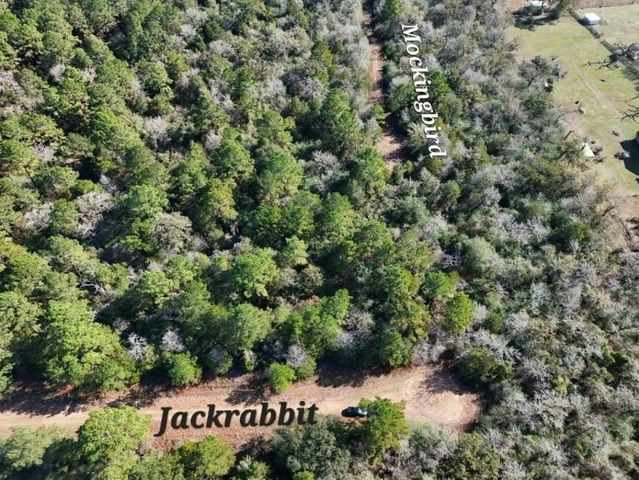 28802 Jackrabbit Drive, Hempstead, TX 77445