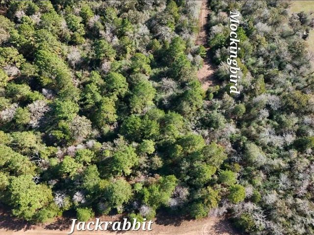 28802 Jackrabbit Drive, Hempstead, TX 77445