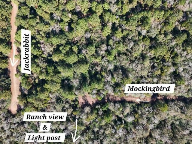 28802 Jackrabbit Drive, Hempstead, TX 77445