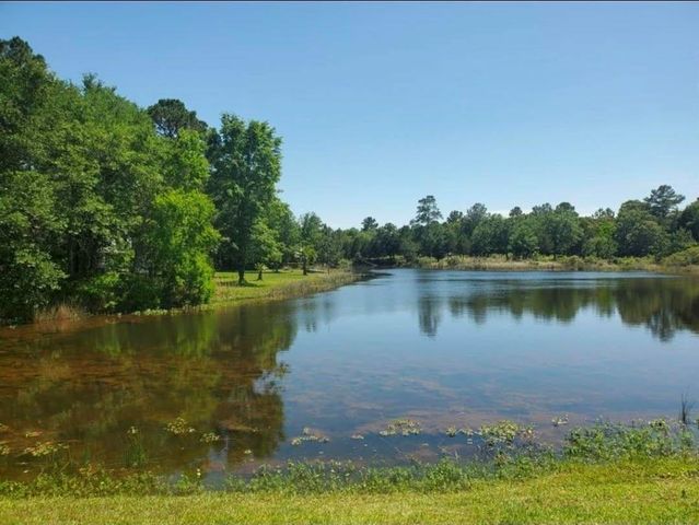 28802 Jackrabbit Drive, Hempstead, TX 77445