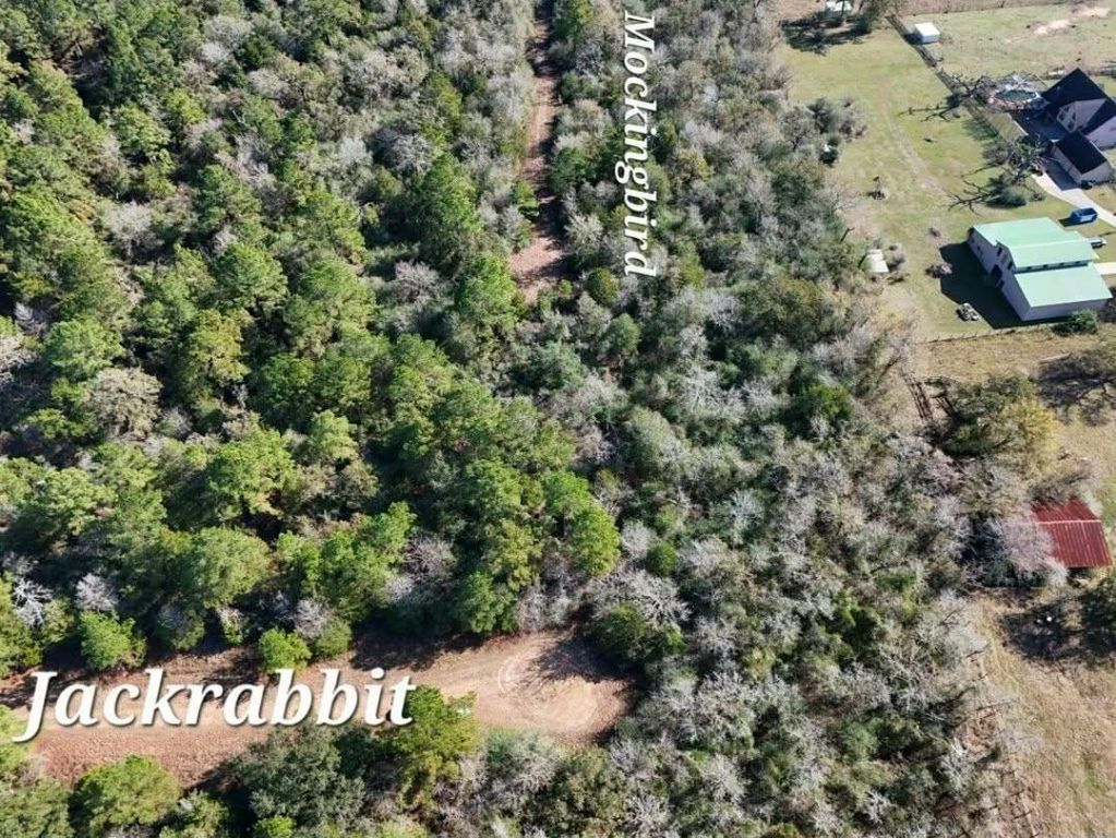 28802 Jackrabbit Drive, Hempstead, TX 77445