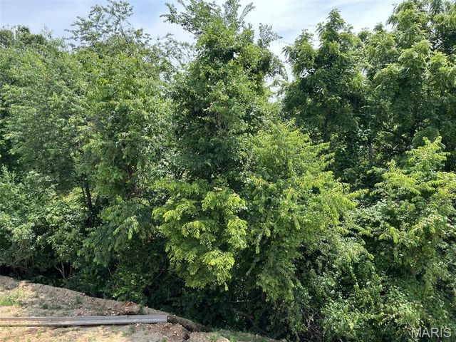 705 McIntosh Court, Hannibal, MO 63401