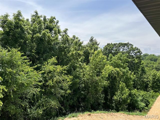 705 McIntosh Court, Hannibal, MO 63401