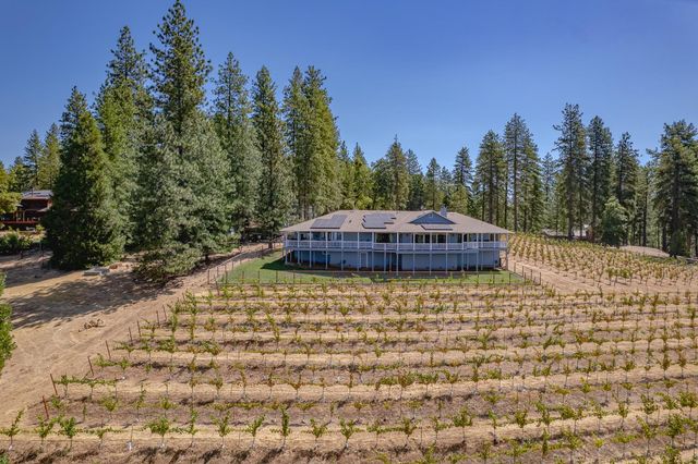 18591 Ponderosa Hills Rd, Volcano, CA 95689