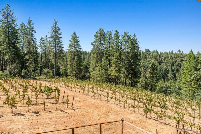 18591 Ponderosa Hills Rd, Volcano, CA 95689