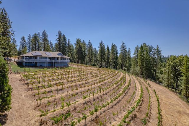 18591 Ponderosa Hills Rd, Volcano, CA 95689