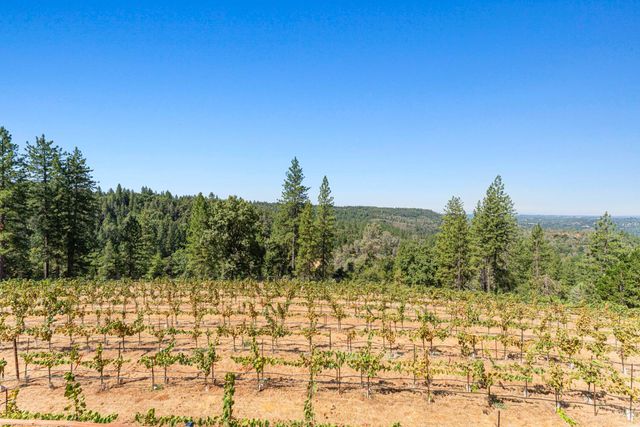 18591 Ponderosa Hills Rd, Volcano, CA 95689