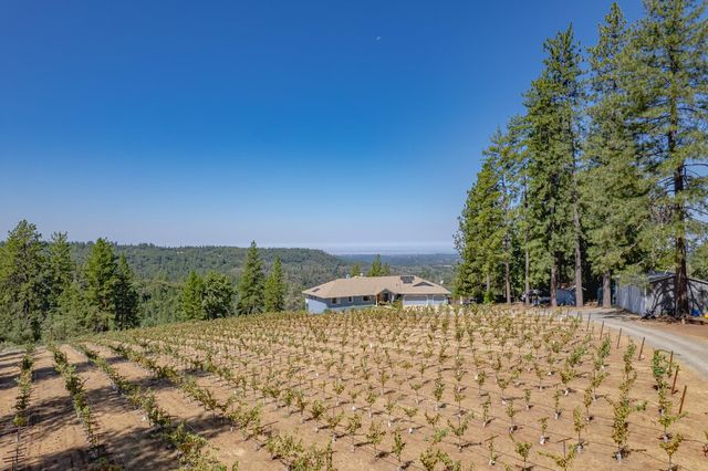 18591 Ponderosa Hills Rd, Volcano, CA 95689