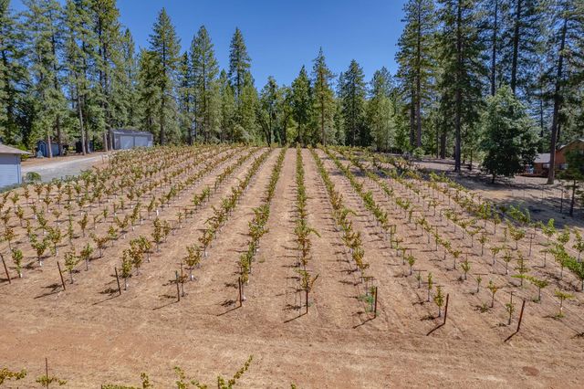 18591 Ponderosa Hills Rd, Volcano, CA 95689