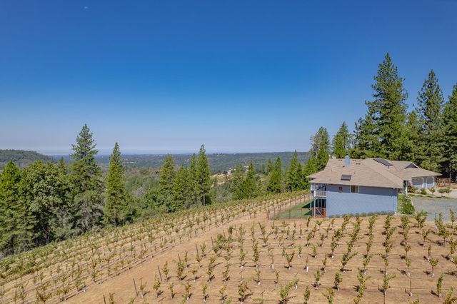 18591 Ponderosa Hills Rd, Volcano, CA 95689