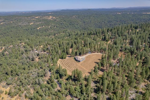 18591 Ponderosa Hills Rd, Volcano, CA 95689