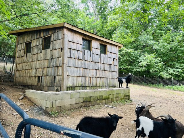 318 Molino Rd, Fayetteville, TN 37334
