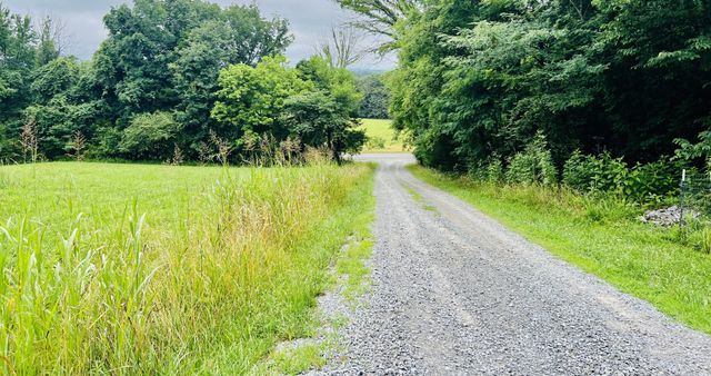 318 Molino Rd, Fayetteville, TN 37334