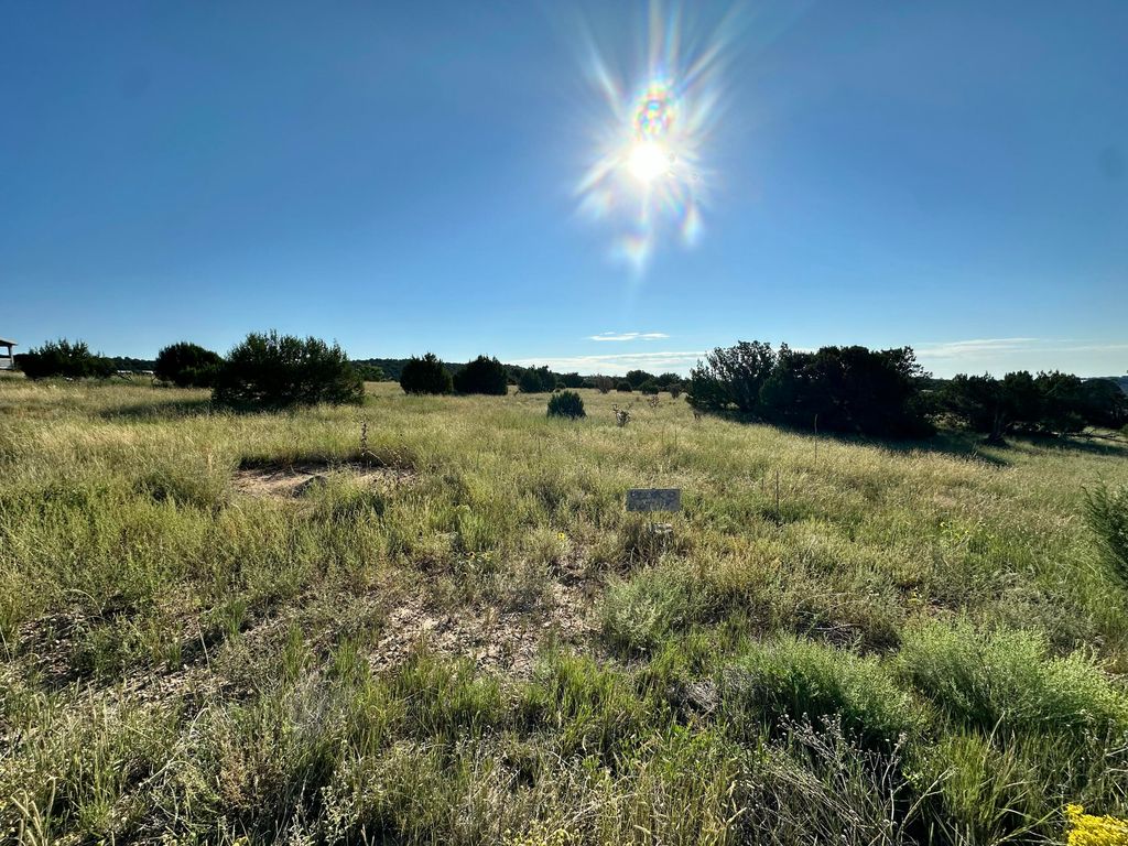 LOT 29 BLOCK 3, Edgewood, NM 87016