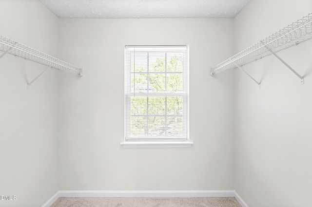 7029 Jeffreys Creek Lane, Raleigh, NC 27616