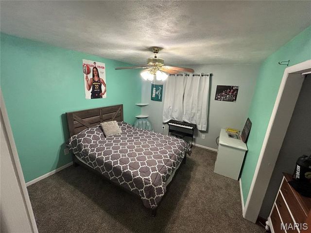 1133 Teresa LN, Carrollton, IL 62016