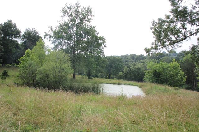171 Parnell Lane, Flippin, AR 72634