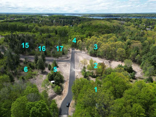 4655 Leaning Birch Drive, Long Lake Twp, MI 49685