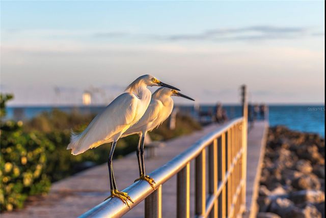 13440 1ST STREET E, Madeira Beach, FL 33708