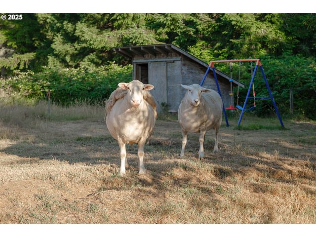 92693 TT LARSON Rd, Astoria, OR 97103