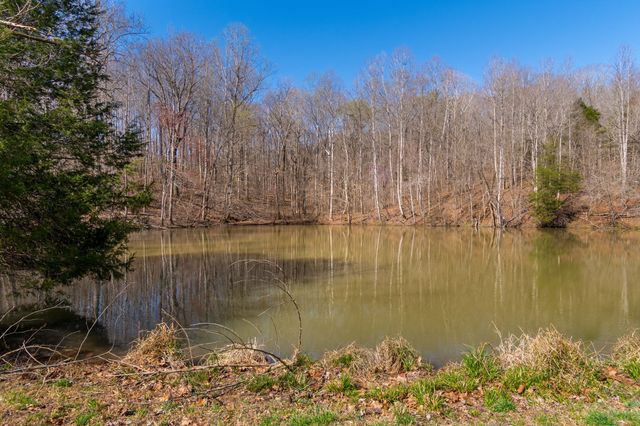 801 Collier Bend Road, Charlotte, TN 37036