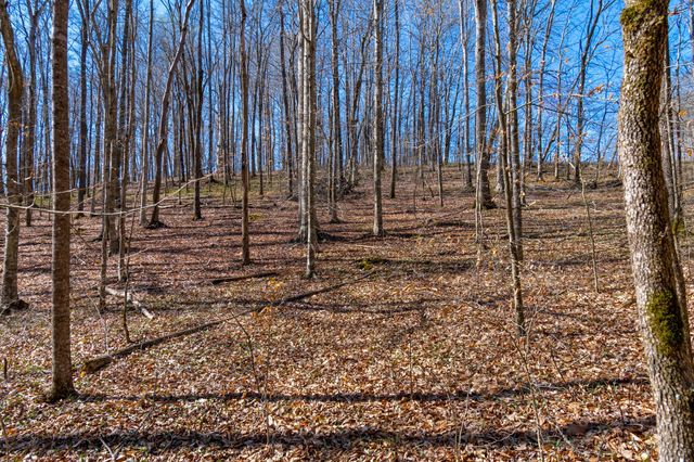 801 Collier Bend Road, Charlotte, TN 37036