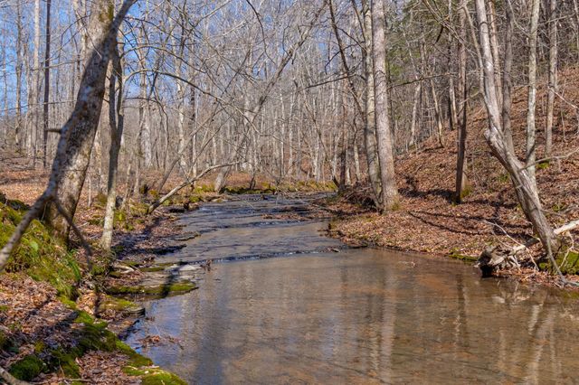 801 Collier Bend Road, Charlotte, TN 37036